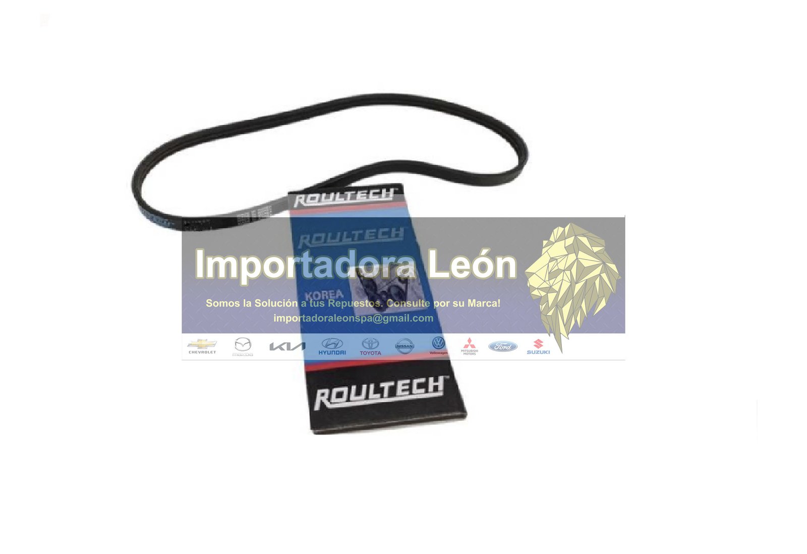 Correa Accesorio Nissan Qashqai J11 2014-2021