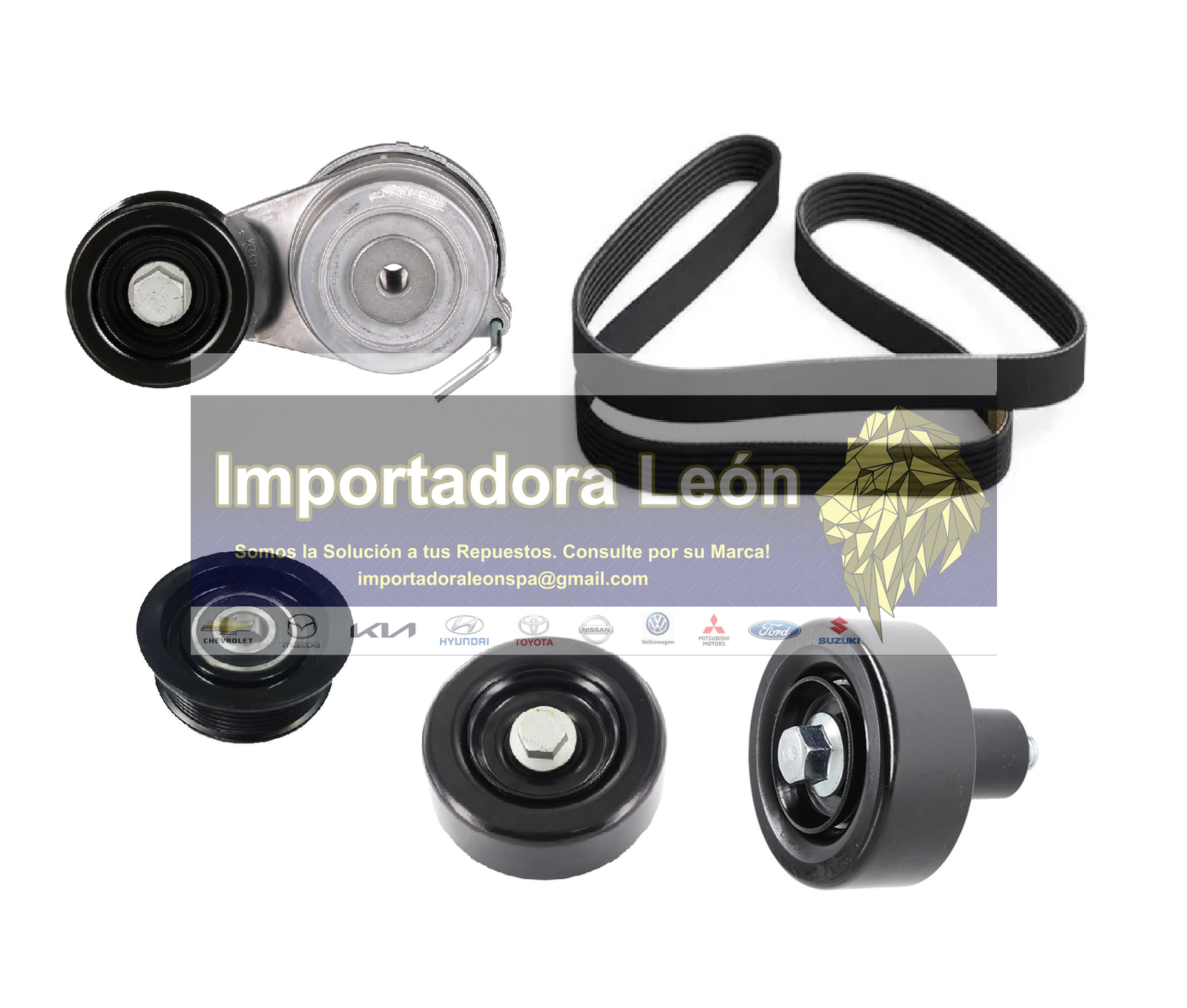 Kit Tensor Poleas Correa Accesorio Hyundai Santa Fe 2.2 (V2)